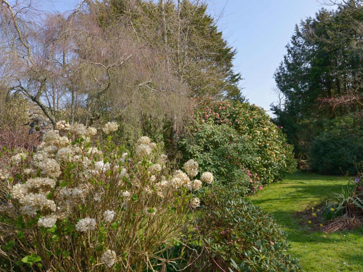 Lily Cottage Looe Luaran gambar