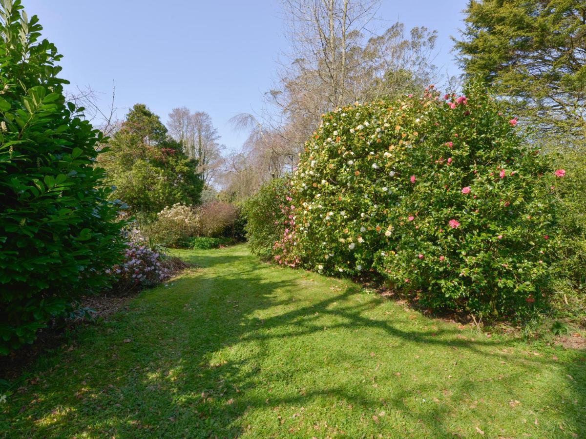 Lily Cottage Looe Luaran gambar